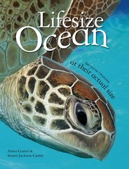Lifesize: OceanLifesize: Ocean