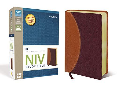 Study Bible-NIV-Compact