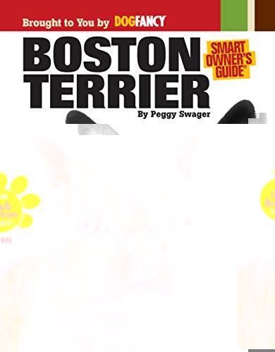 Boston Terrier by Swager, Peggy