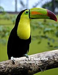 Beautiful Toucans Full-Color Picture Book: Tropical Birds Photography Book- Nature Animals