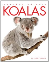 Seedlings: Koalas