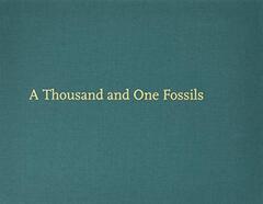 A Thousand and One Fossils: Discoveries in the Desert at Al Gharbia, United Arab Emirates