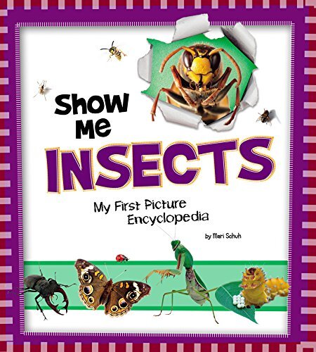 Show Me Insects: My First Picture Encyclopedia