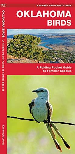 Oklahoma Birds: A Folding Pocket Guide to Familiar Species