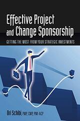 Effective Project and Change Sponsorship: Getting the Most from Your Strategic Investments