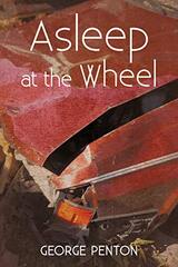 Asleep at the Wheel by Kelley, Pierce