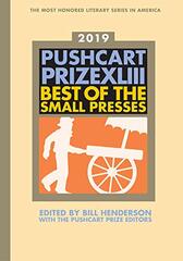 The Pushcart Prize XLIII
