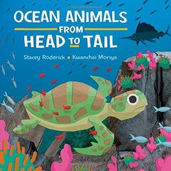 Ocean Animals from Head to Tail 