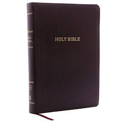 The Law Enforcement Officer's The Holy Bible: Christian Standard Bible, Black Leathertouch