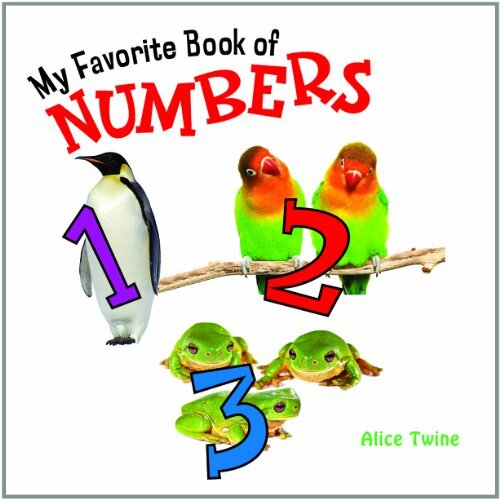 My Favorite Book of Numbers