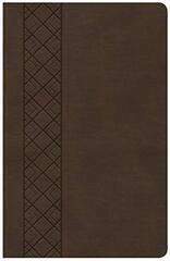Holy Bible: Christian Standard Bible, Brown Leathertouch, Ultrathin Reference, Value Edition