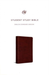 ESV Student Study Bible: English Standard Bible, Gray, Trutone