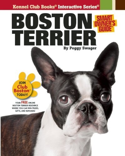 Boston Terrier by Swager, Peggy